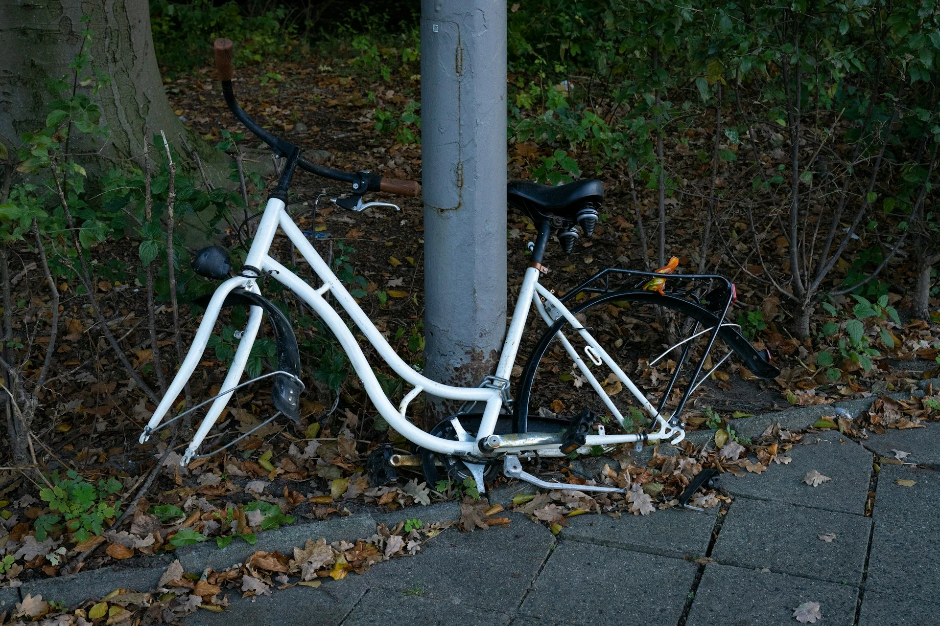 Les vélos les plus chers sont-ils les plus volés ?
