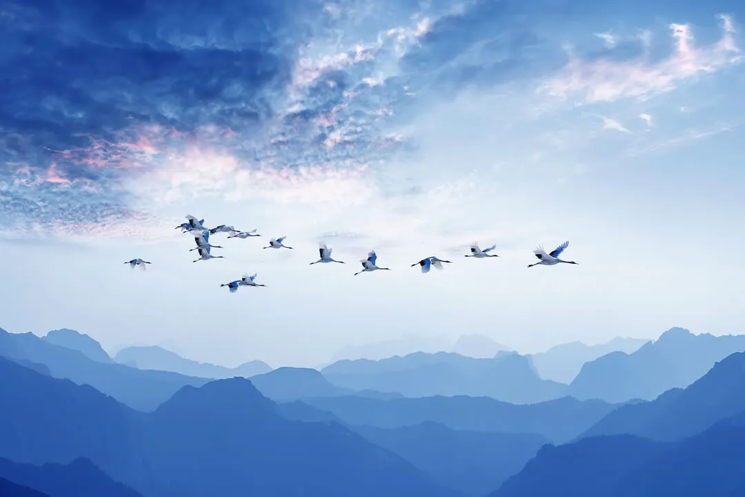 Enabling the Migration from ECC to S/4HANA