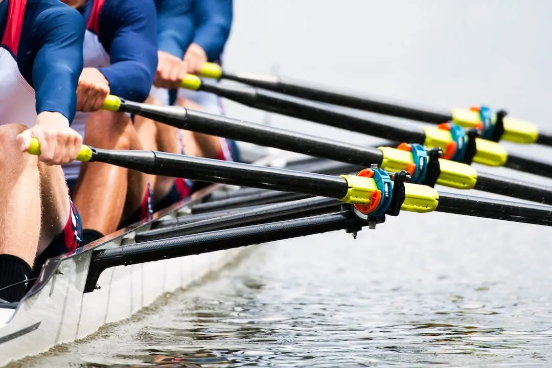 Beyond Systems and Processes The Human Factor in Supply Chain Success