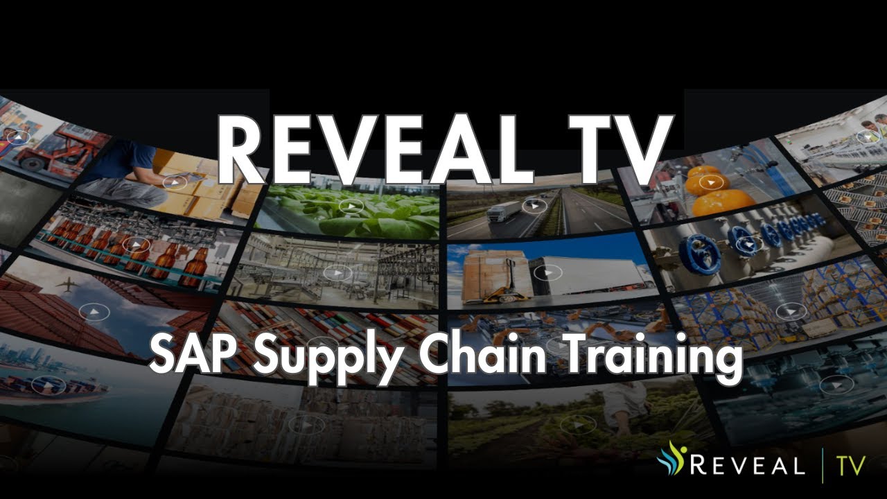 Master SAP: Stop Wasting 65% of Its Potential!