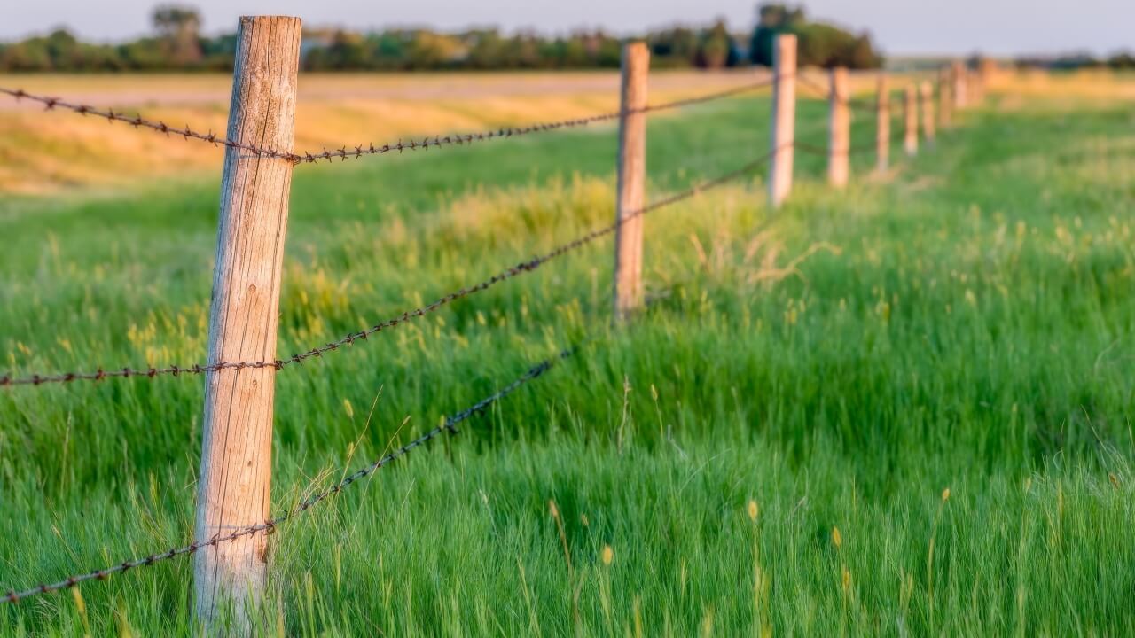 How Long Is That Planning Time Fence?