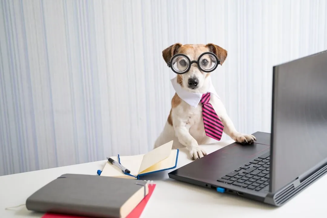 What If Your SAP Supply Chain Was Truly Optimized? — Reveal SAP supply chain article