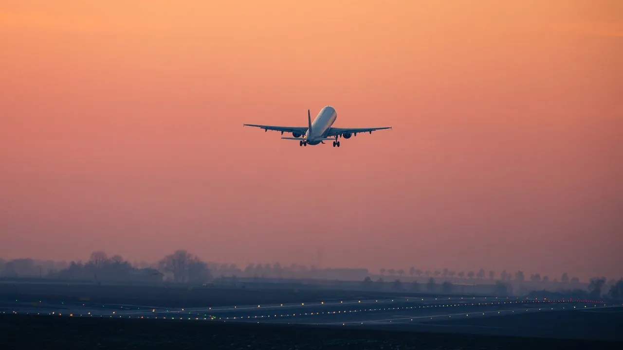 Buyers: How to Take a Vacation — Reveal SAP supply chain video