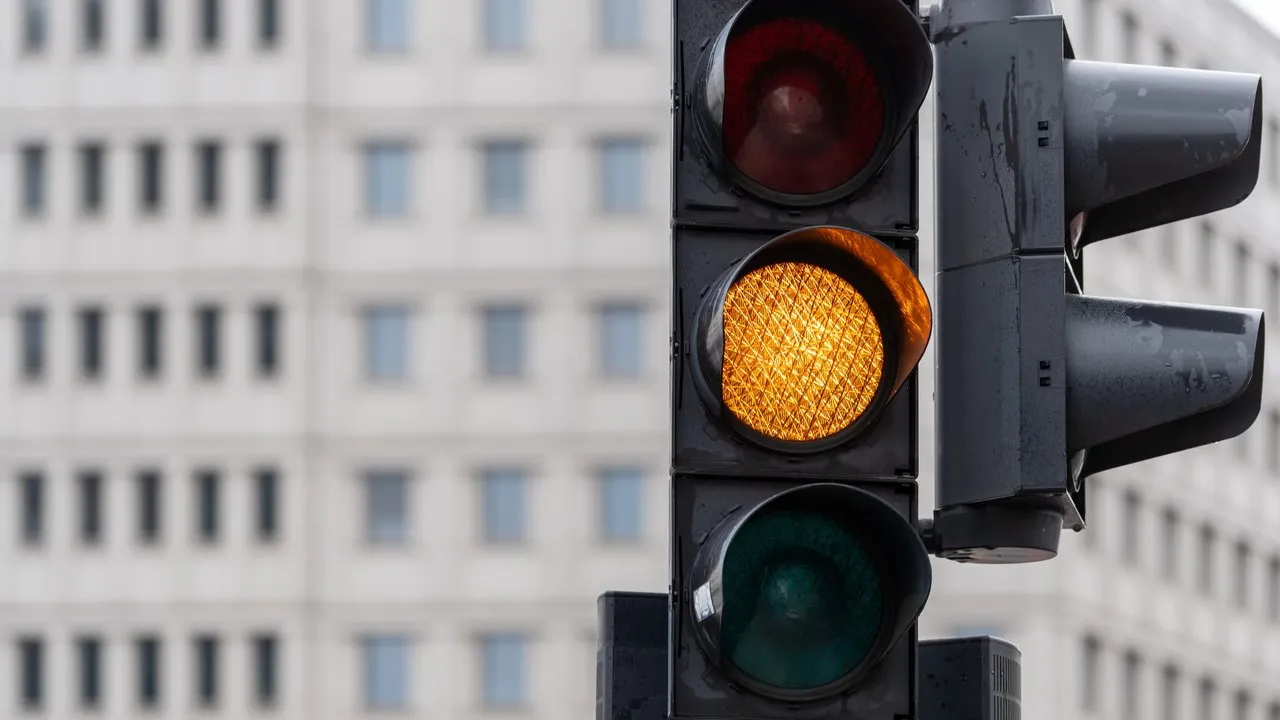 When Will All My Lights Be Yellow? — Reveal SAP supply chain video