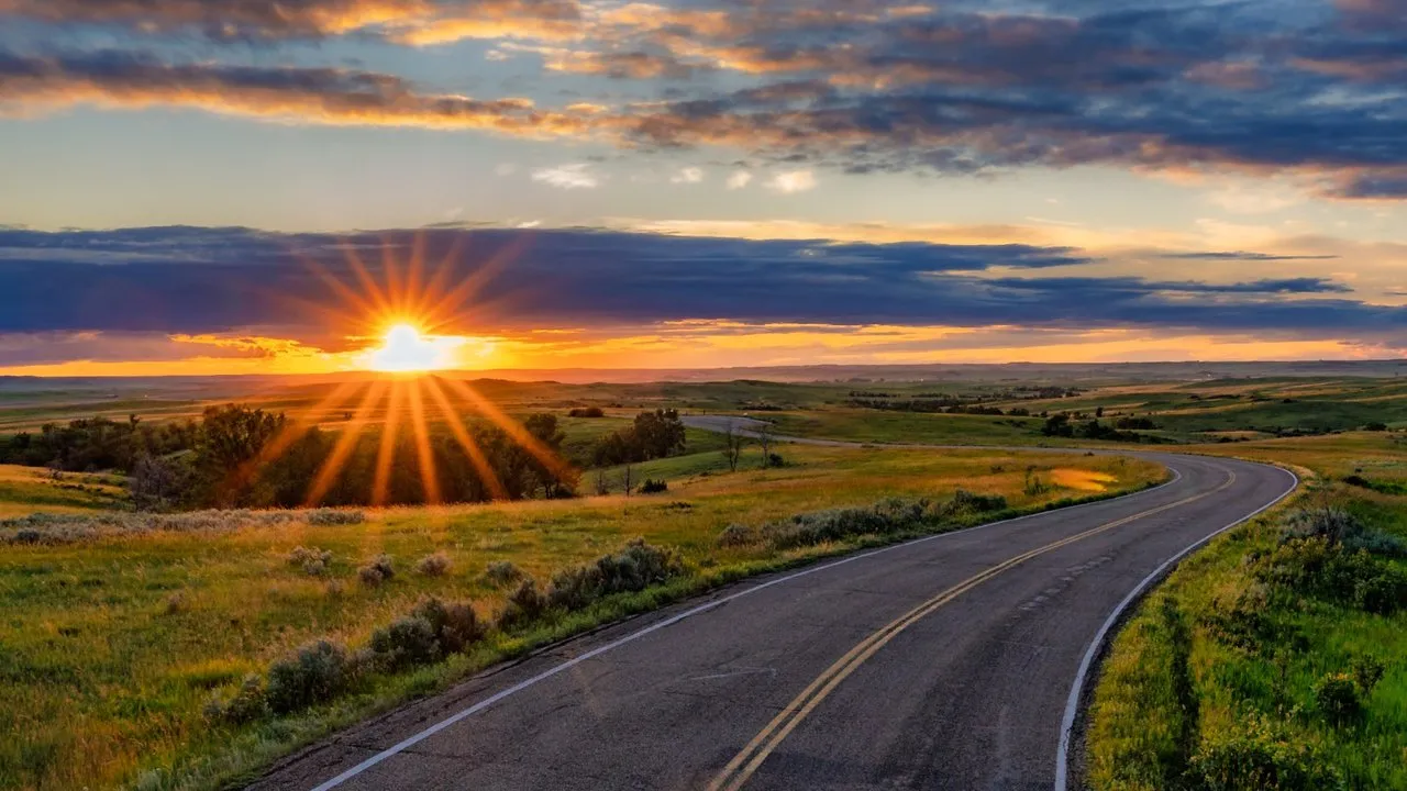 How to Properly Sunset Materials — Reveal SAP supply chain video
