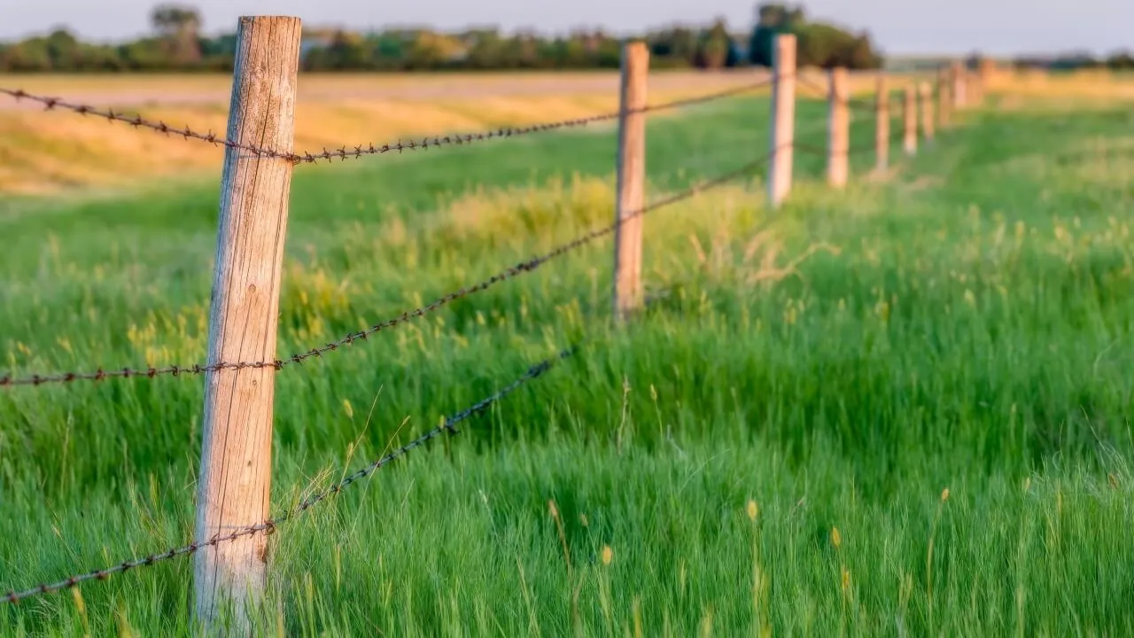 How Long Is That Planning Time Fence? — Reveal SAP supply chain video