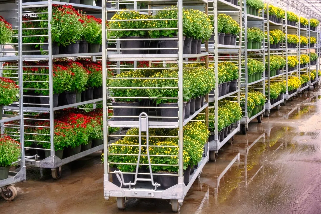Time-Phased Coverage Profiles — Reveal SAP supply chain video