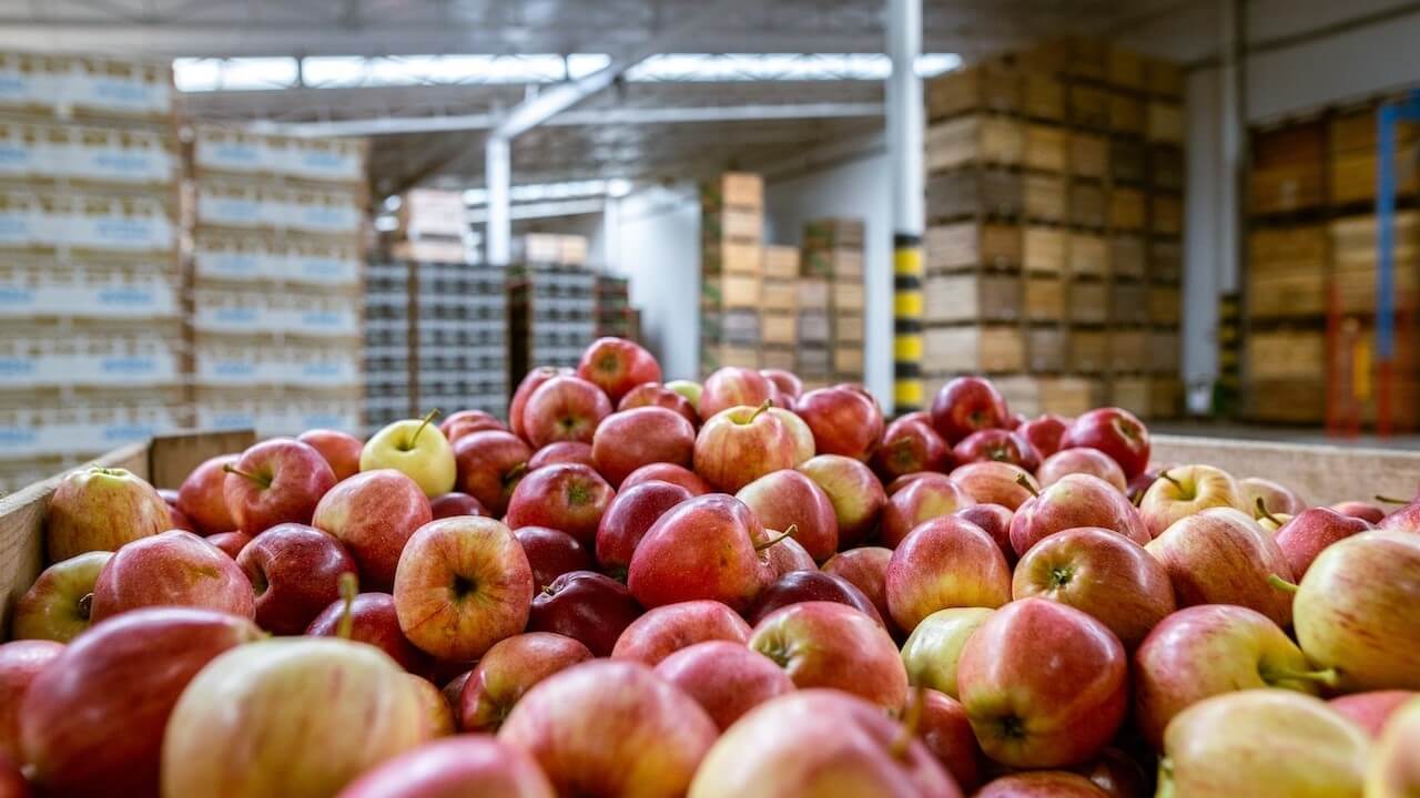 Data Into Insights: Material Groups — Reveal SAP supply chain video
