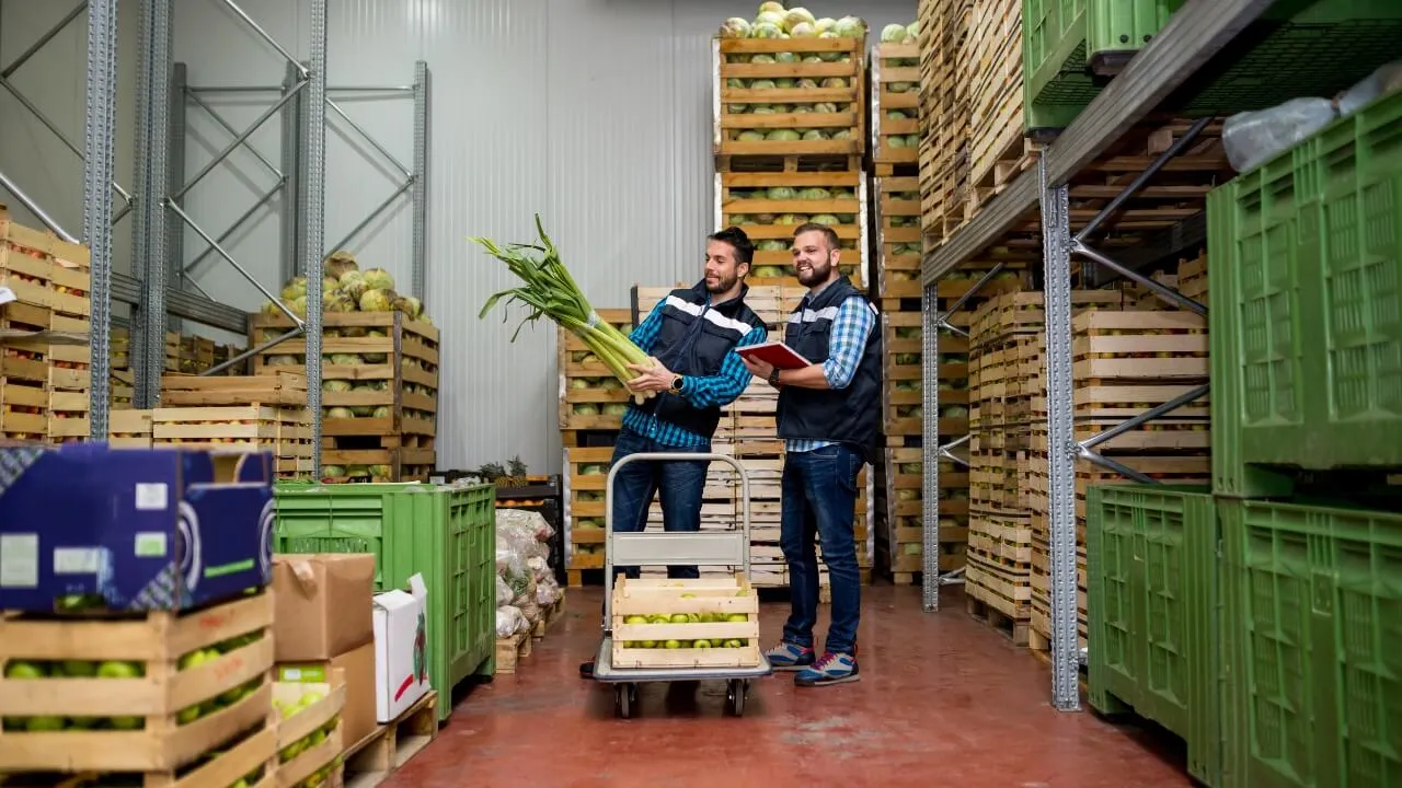Cross Network Planning: Placing the Forecast — Reveal SAP supply chain video