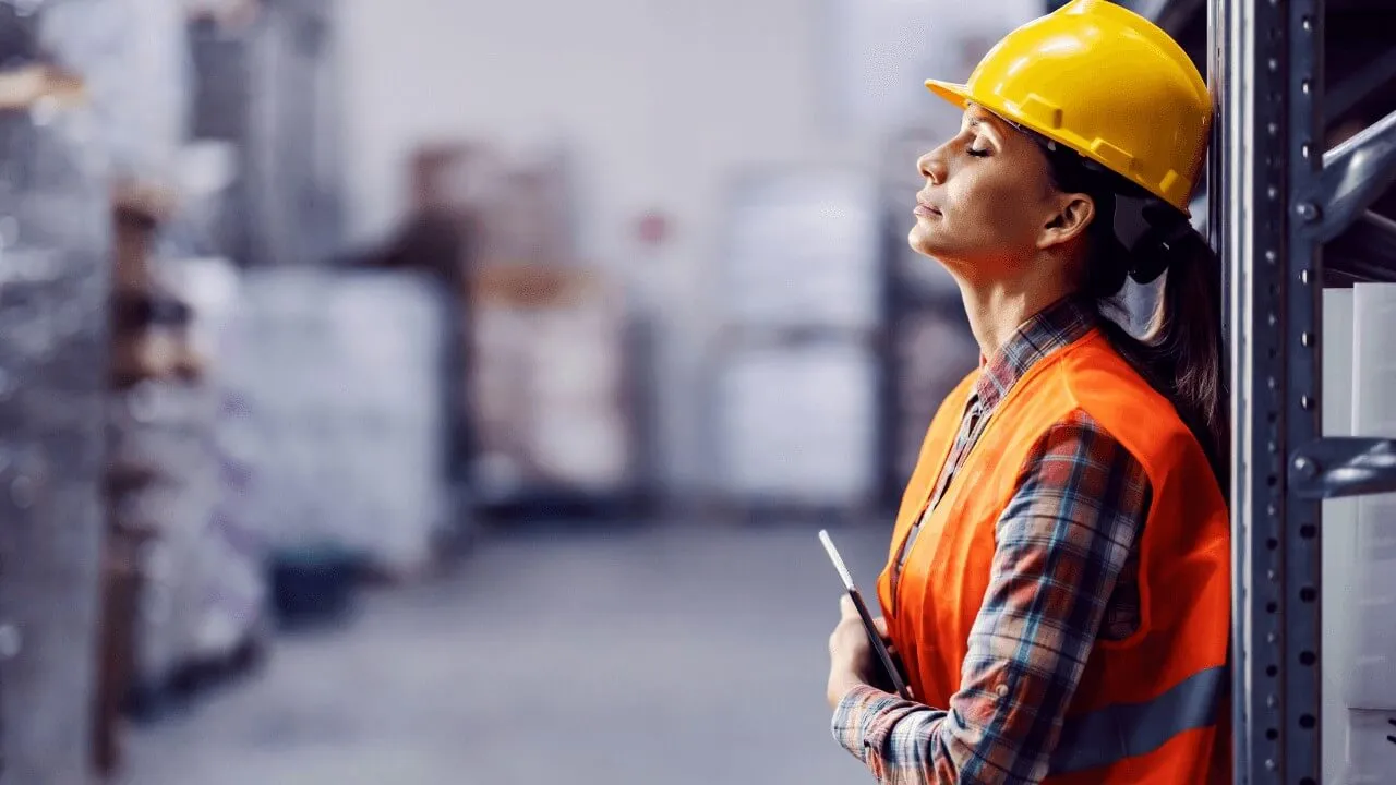 Negative Stock — Reveal SAP supply chain video