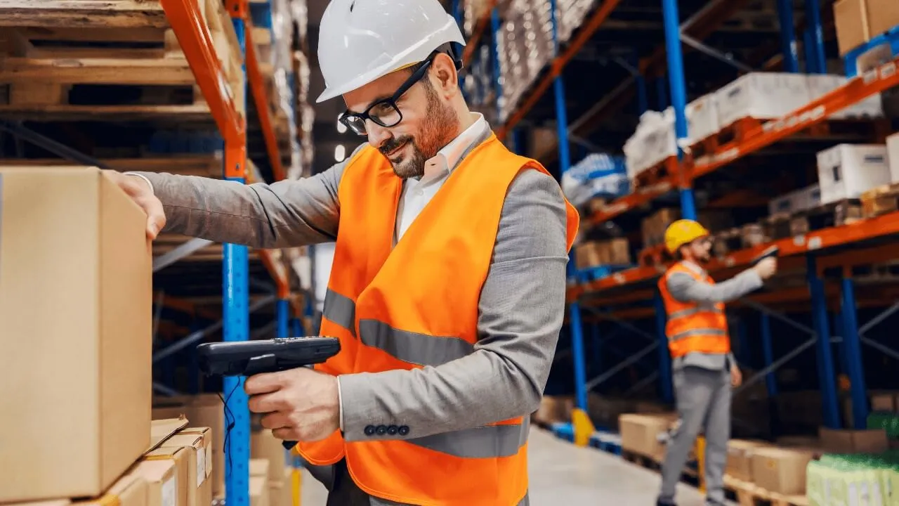Warehouse Inventory Counts — Reveal SAP supply chain video
