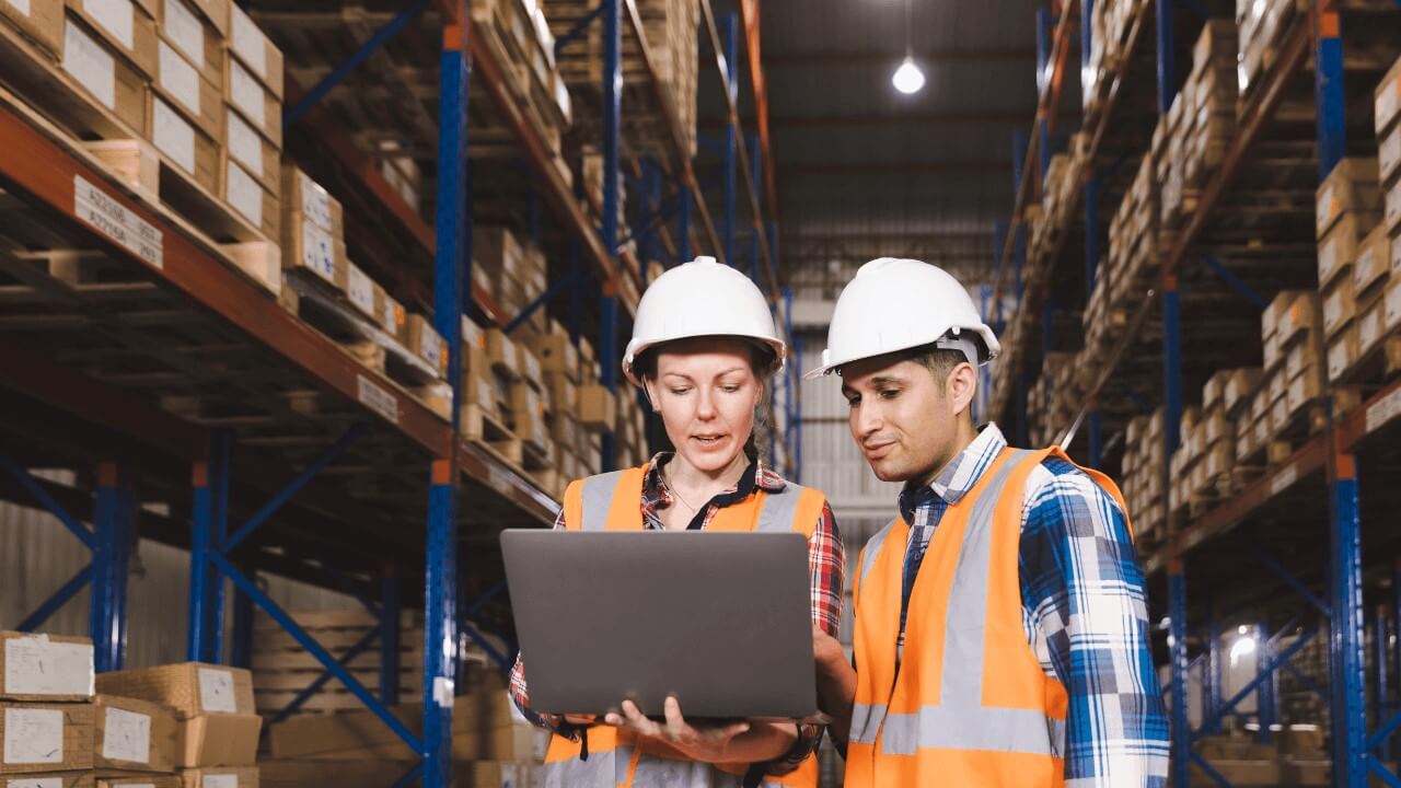 Warehouse Activity Monitor Overview — Reveal SAP supply chain video
