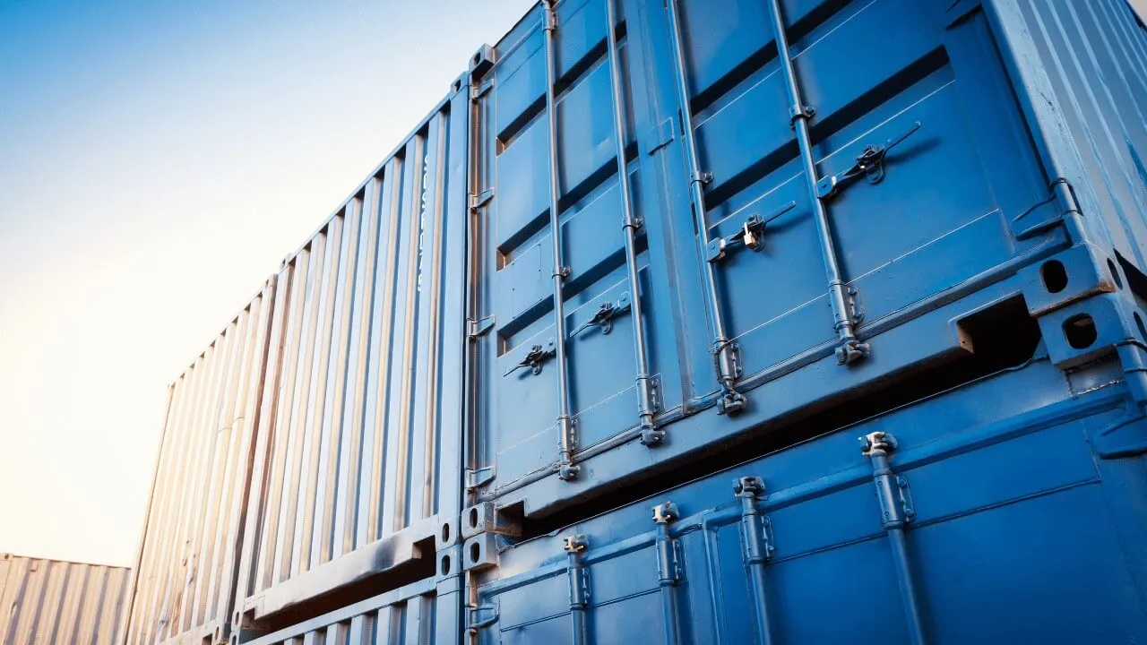 Exception Message 30 — Reveal SAP supply chain video