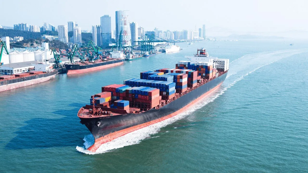 Exception Message 20 — Reveal SAP supply chain video