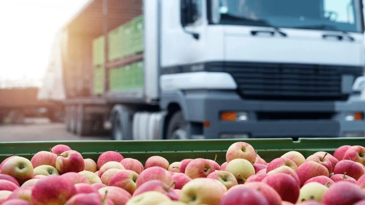 Clean Overdue Purchase Requisitions — Reveal SAP supply chain video