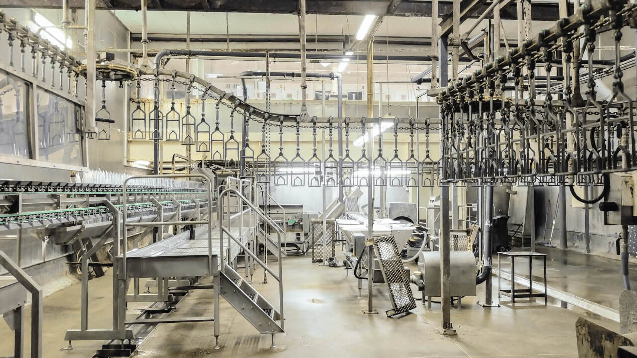 Create Hierarchies — Reveal SAP supply chain video