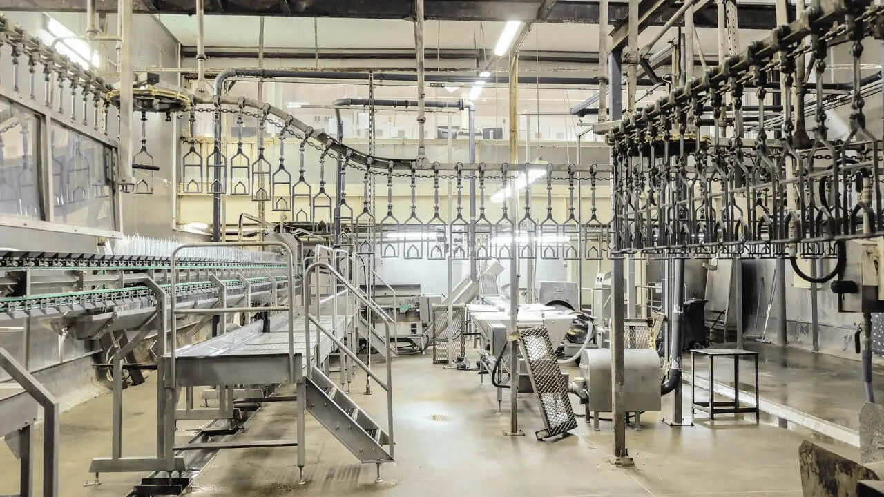 Create Hierarchies — Reveal SAP supply chain video