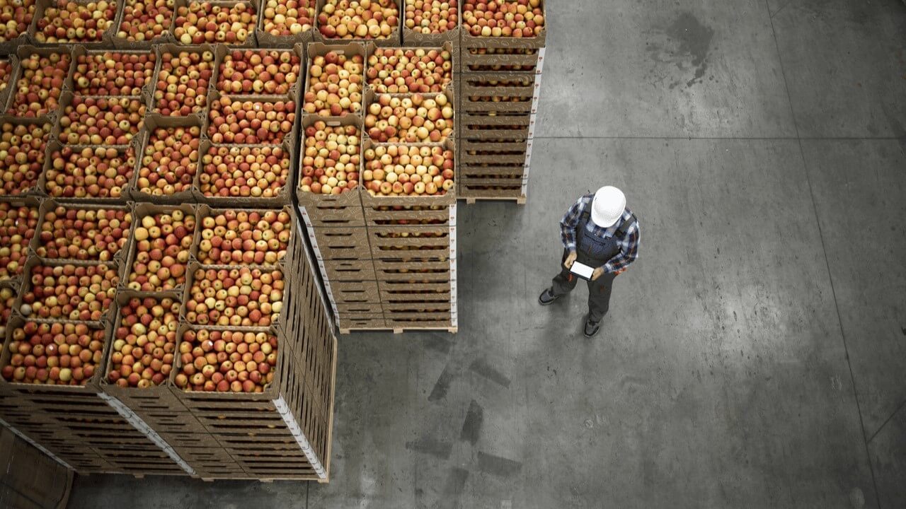 Available Capacity — Reveal SAP supply chain video