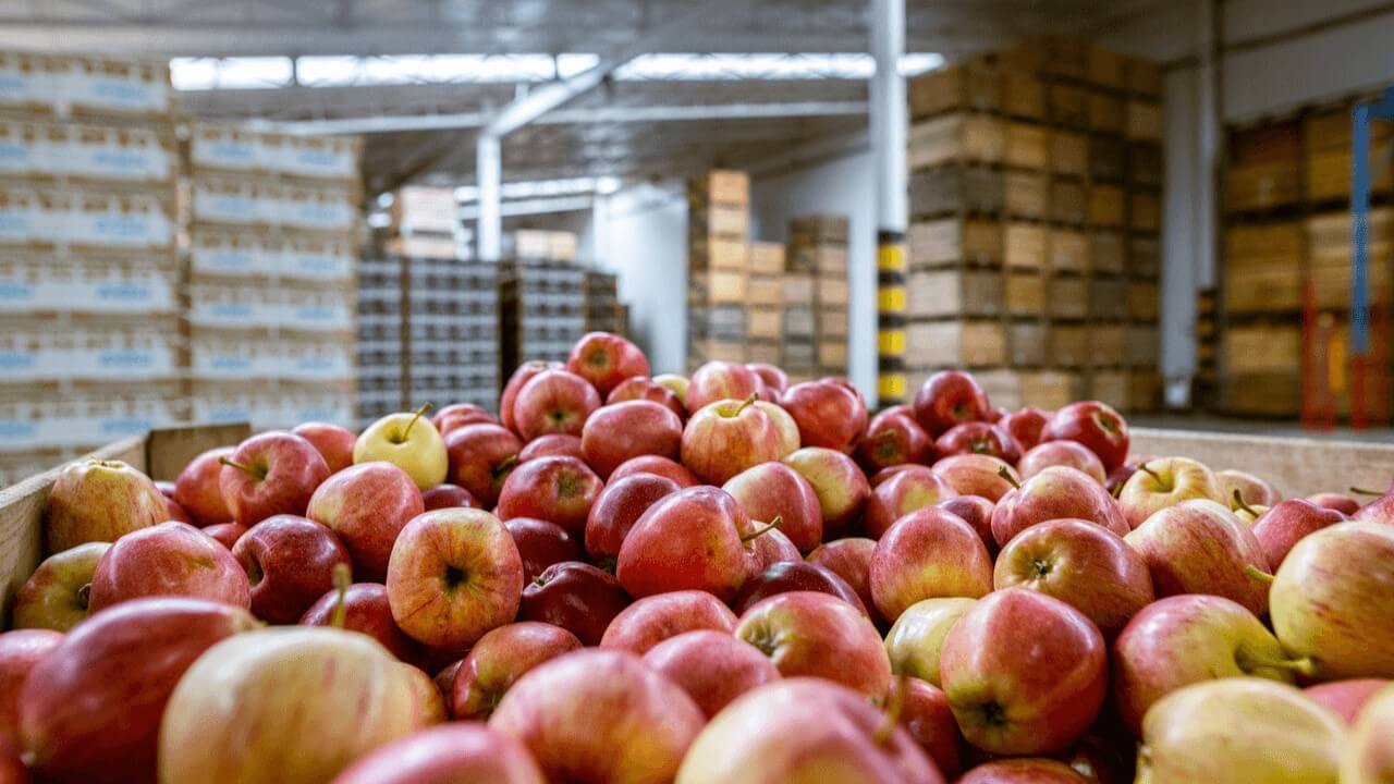 Material Analysis — Reveal SAP supply chain video
