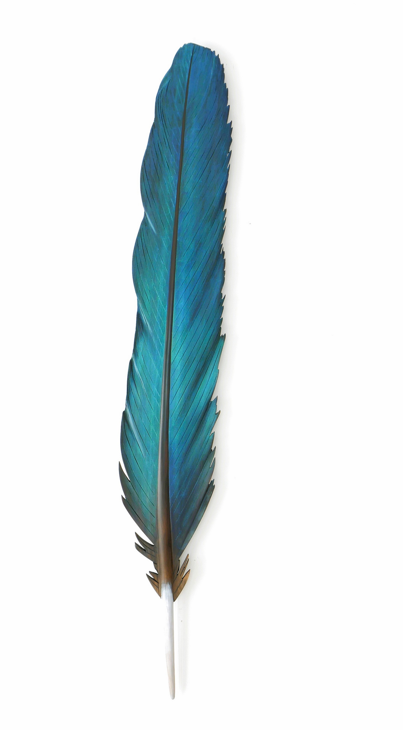 Kotare Tail Feather