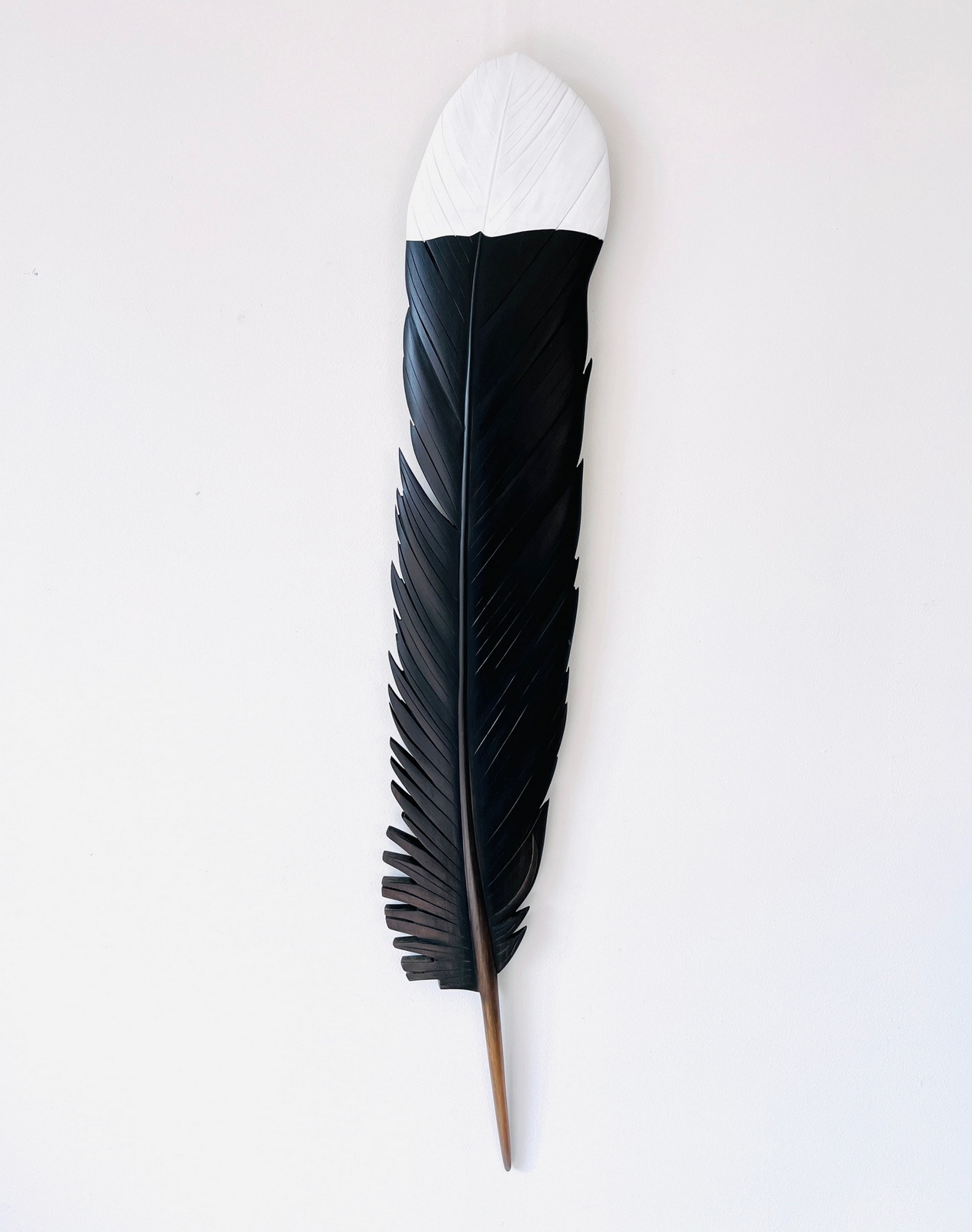 Huia feather