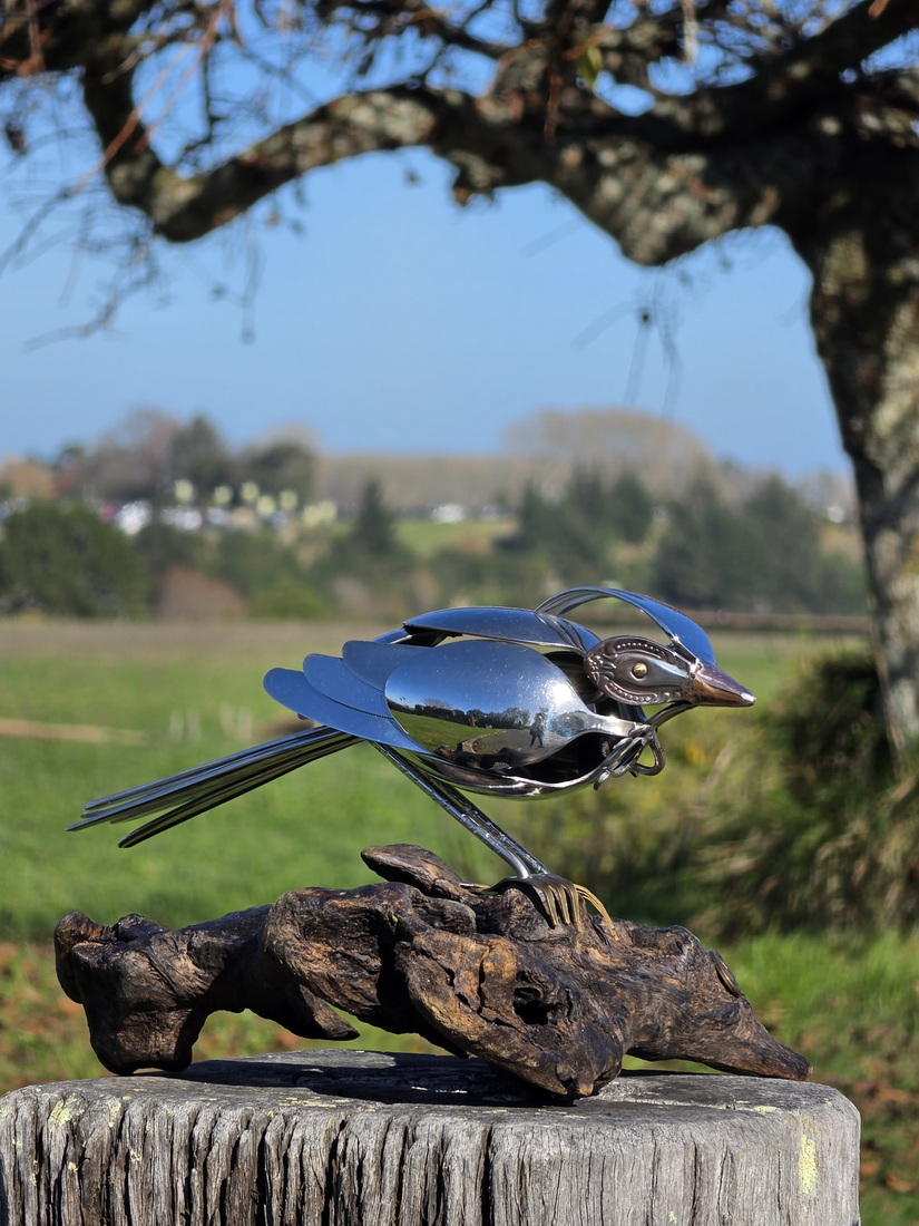 Tui on driftwood perch