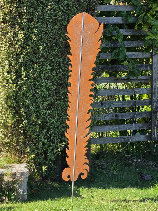 Karearea/ NZ Falcon Feather