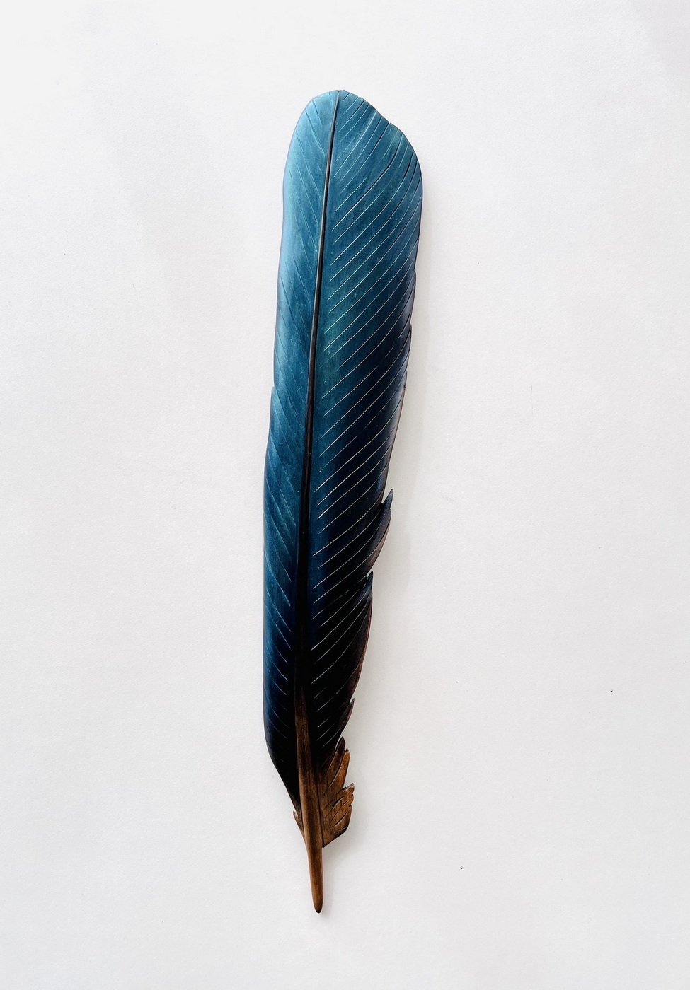 Tūi Feather in Matai