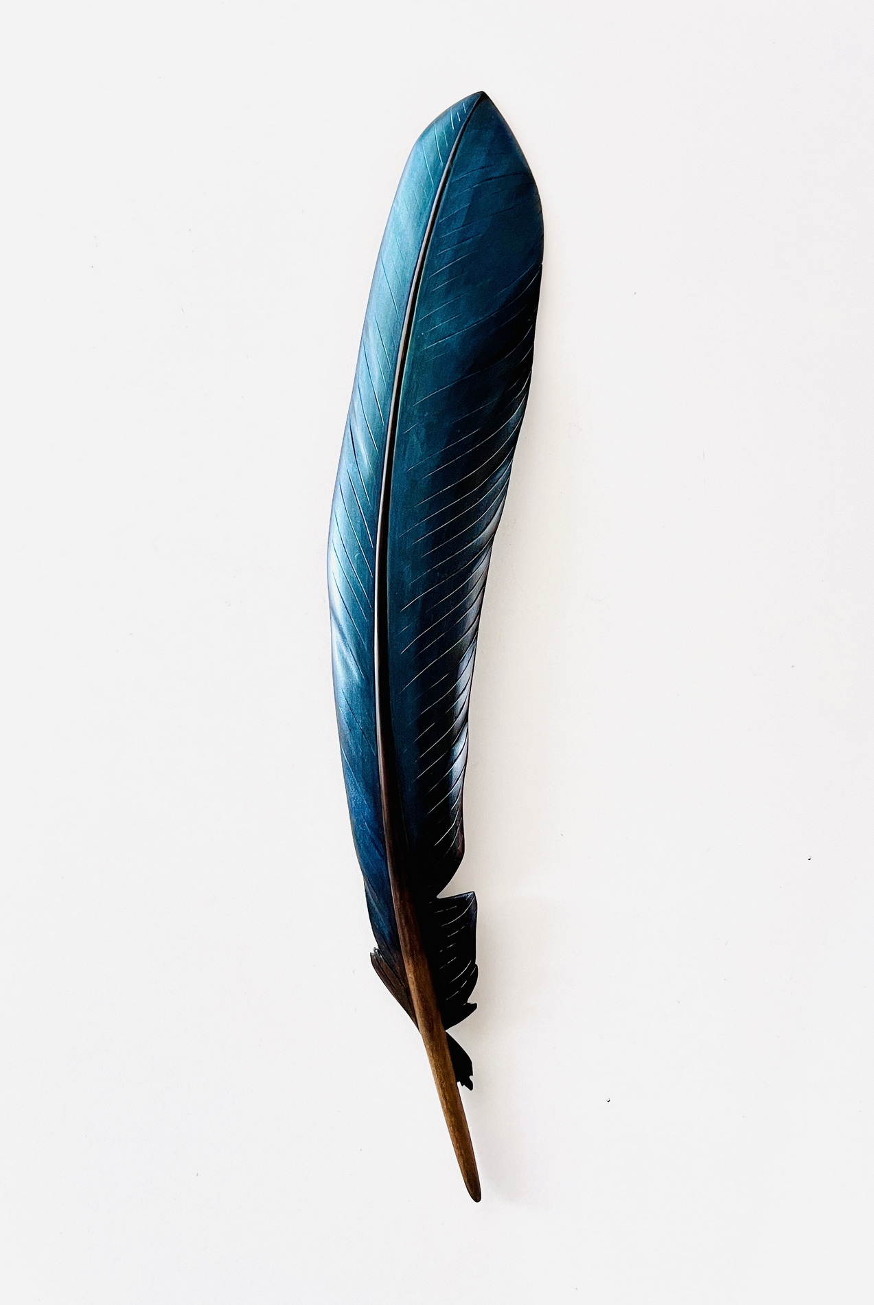 Tūī Feather in Kauri