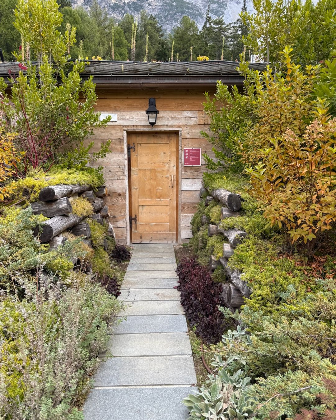 Finding Calm in Nature’s Design