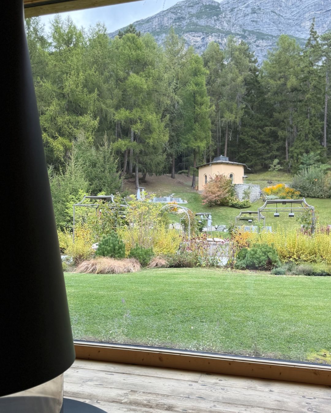 Finding Calm in Nature’s Design