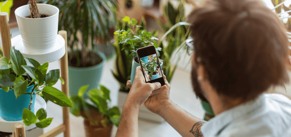 Identification des plantes par smartphone : une personne photographie une plante pour l’identifier avec un Neophyten-Checker.