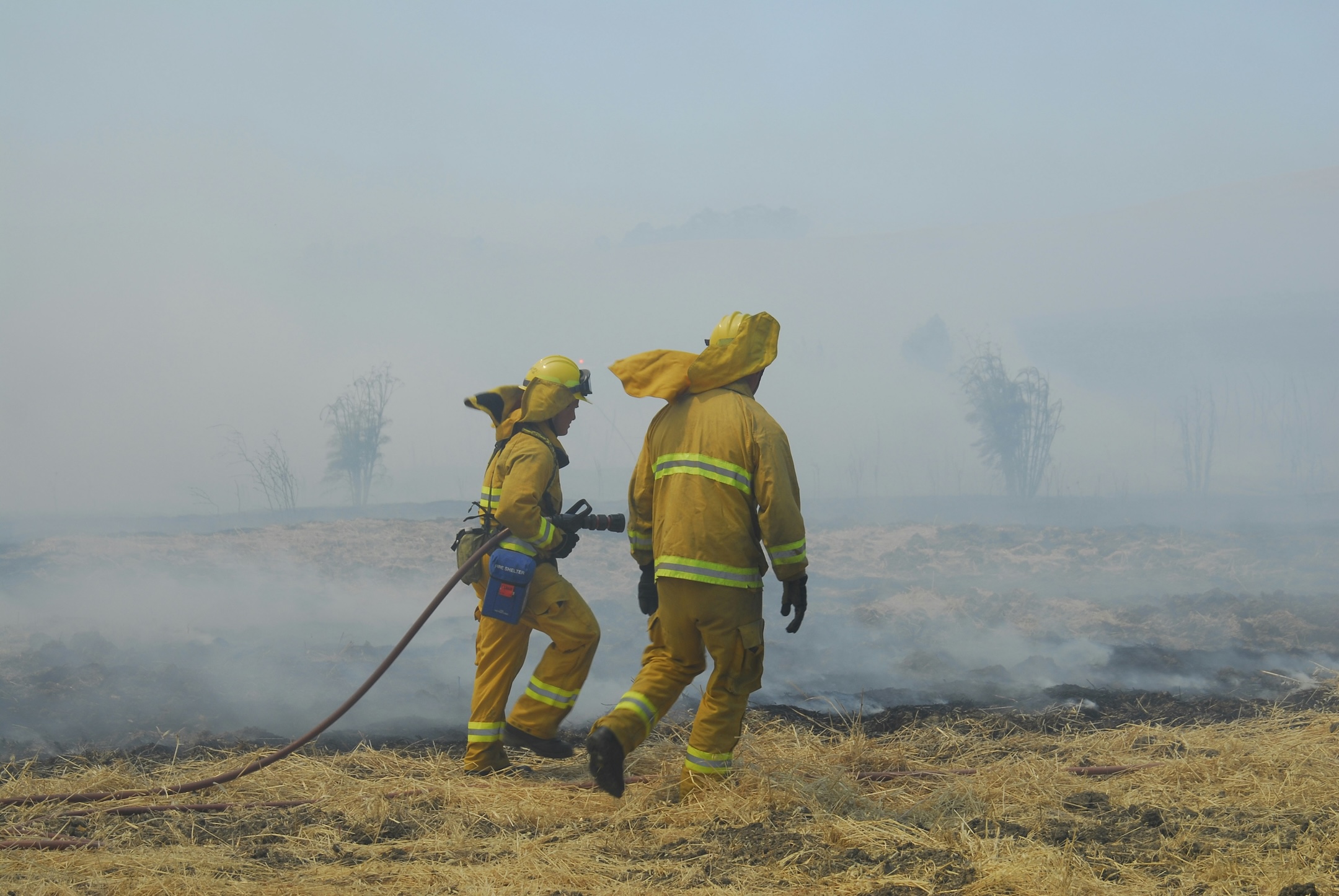 How is the 2025 wildfire season shaping up so far?
