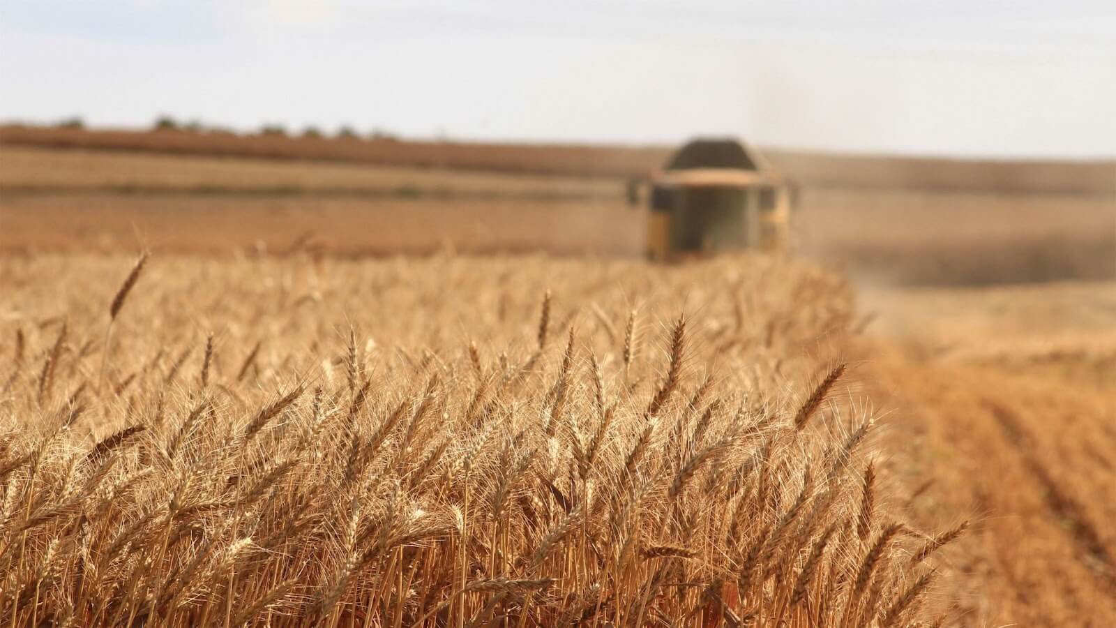 Image of a wheat field being harvested, producing particulate matter. Image provided by meriç tuna on Unsplash.