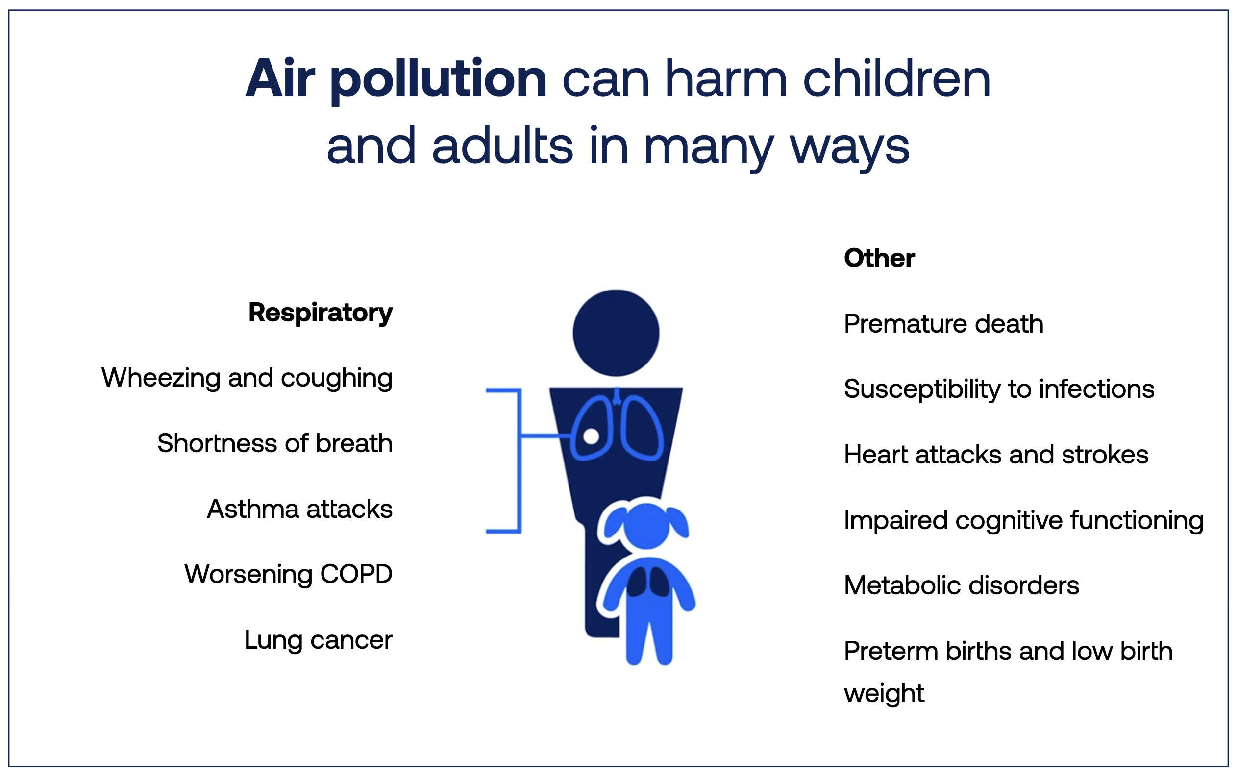 A labeled illustration detailing the harmful effects of air pollution, reinforcing the need for ambient air quality monitoring