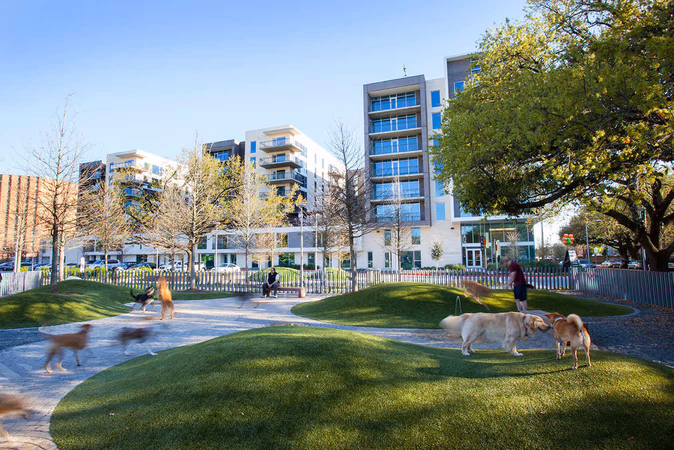 Kirby Grove in Houston, Texas