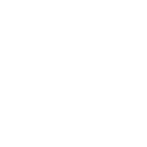 Personal shopping services