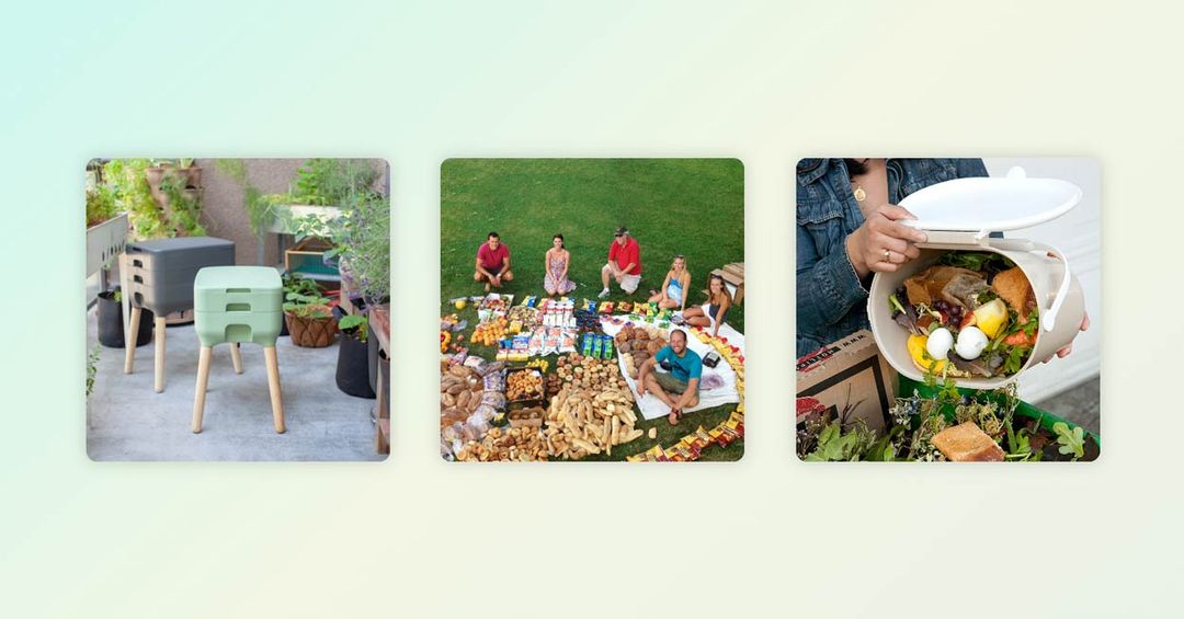 Misfits Market Review: Is It Worth It To Reduce Food Waste?