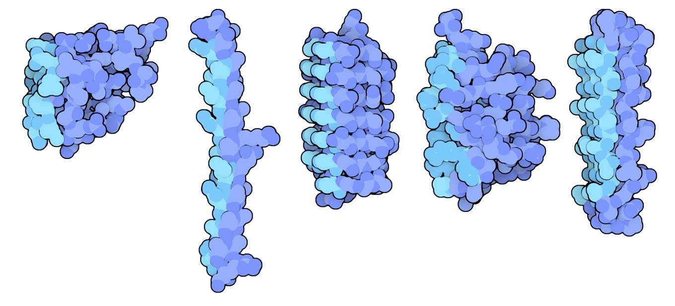 Drawings of antireeze proteins produced by various sources