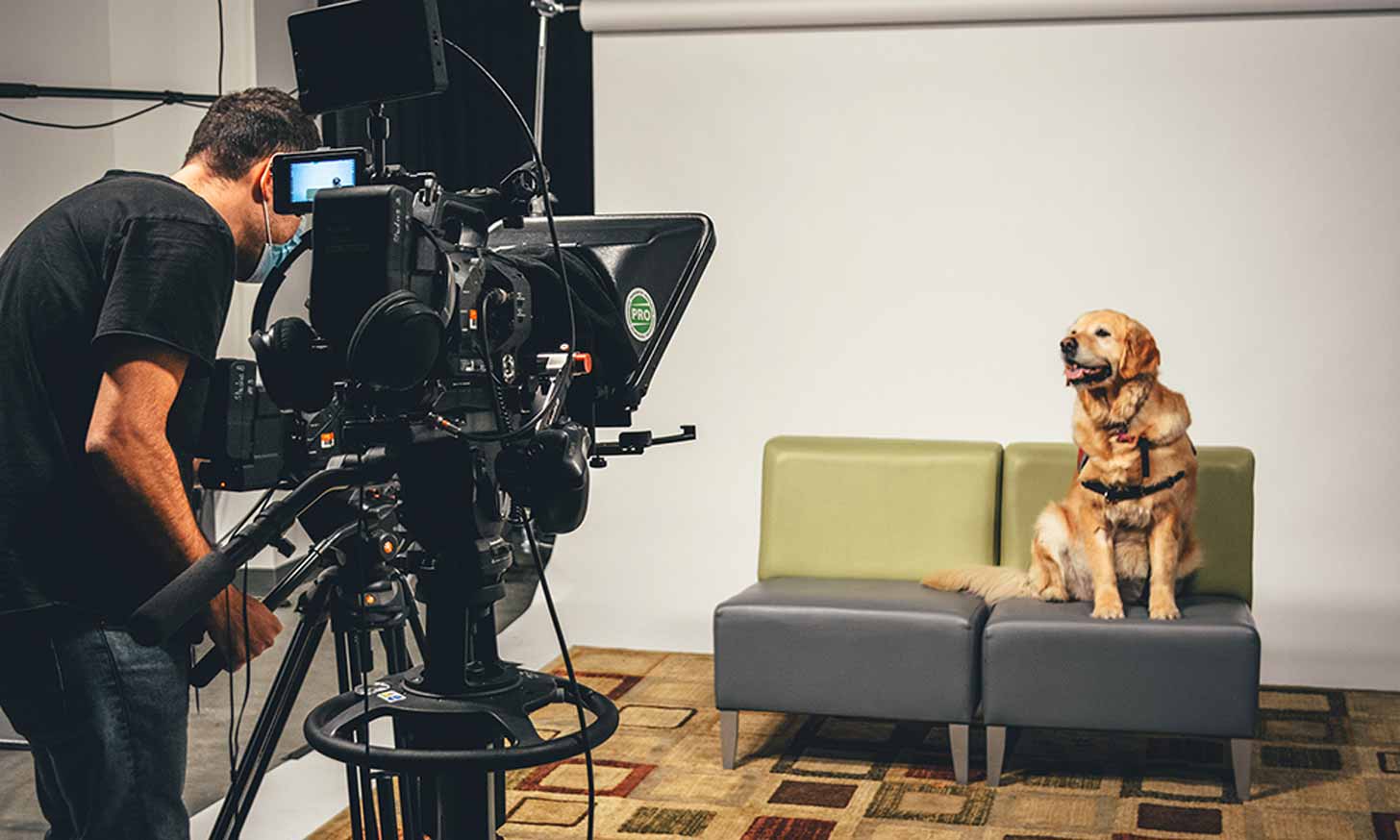 A golden retriever sits on a green couch in front of a cinematography camera