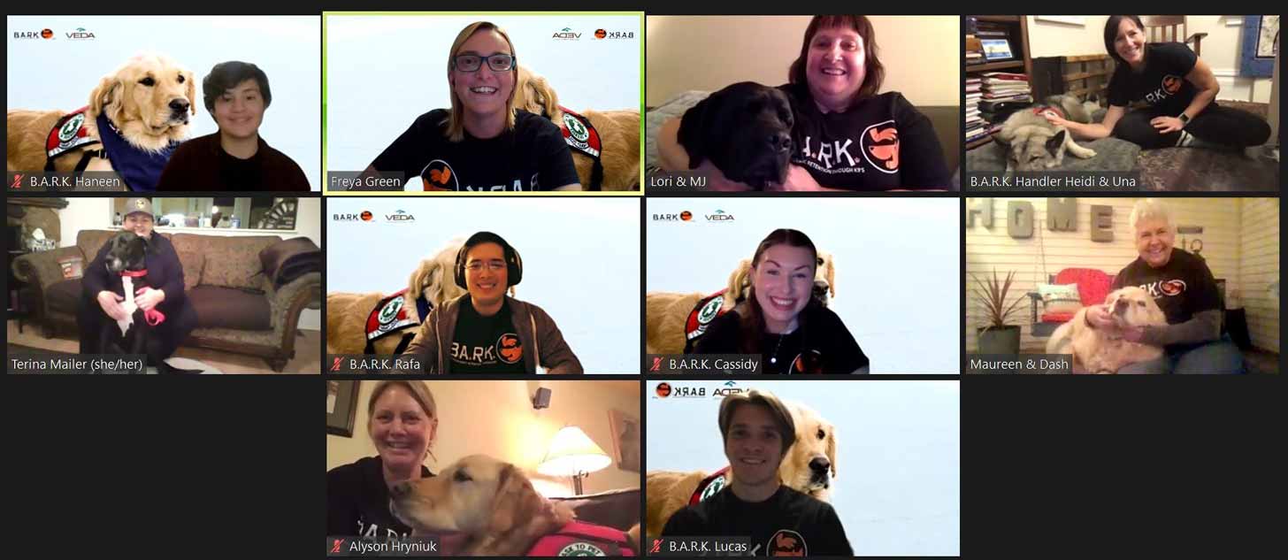 A zoom screenshot shows people sitting with their dogs in various squares