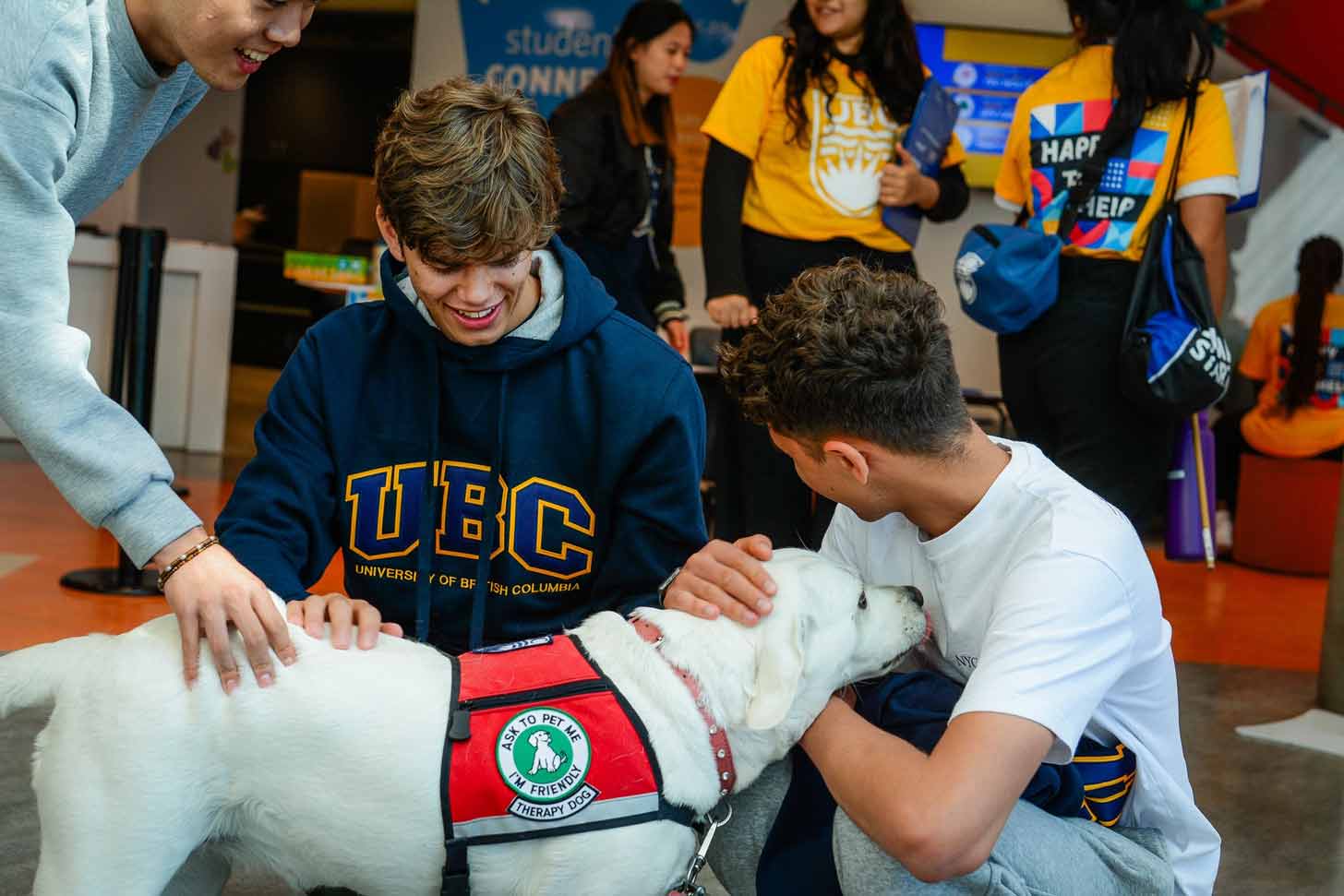 Three male college students smiling while cuddling a yellow lab
