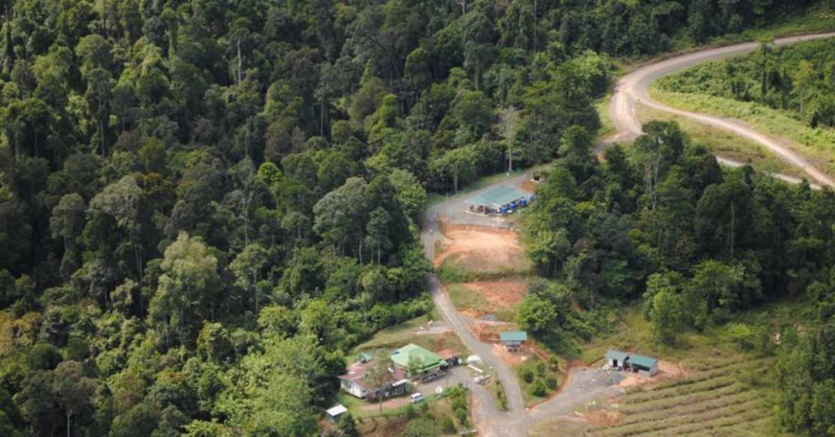 An aerial view of Tangkulap Forest Reserve in Malaysia, a vast green forest with roads cutting through and a few ranger stations. 