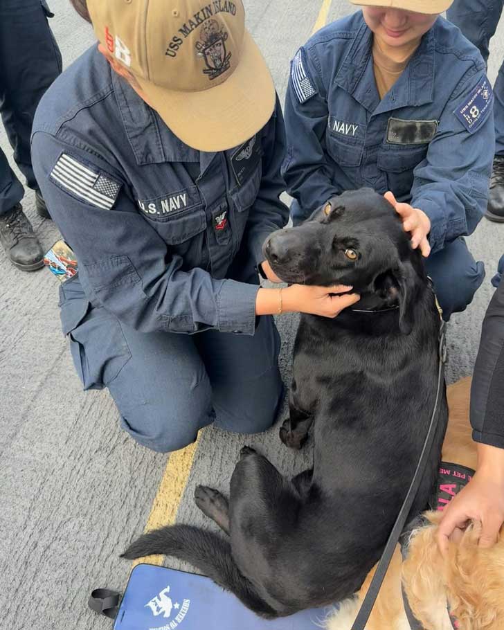 A black lab accepts pets from two US naval officers aboard the USS Makin Island