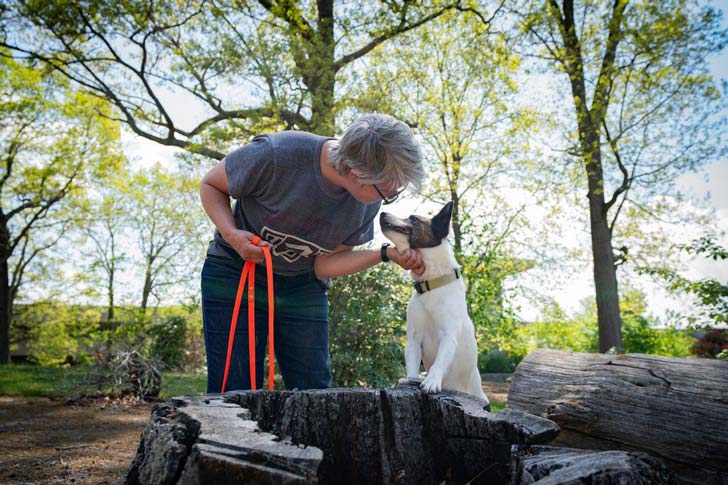 An older woman leans down to pet her dog outside