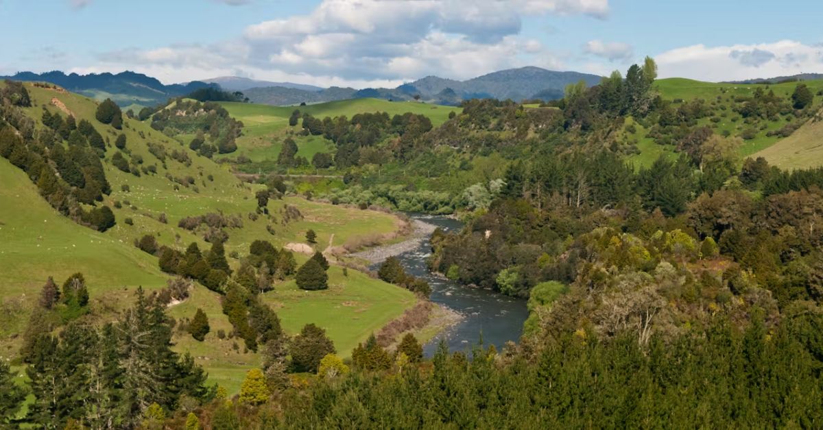 A view of a landscape with trees, hills and a river.