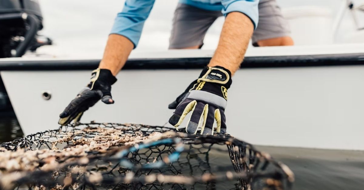 A man reaches down to pick up an abandoned crab cage out of the water
