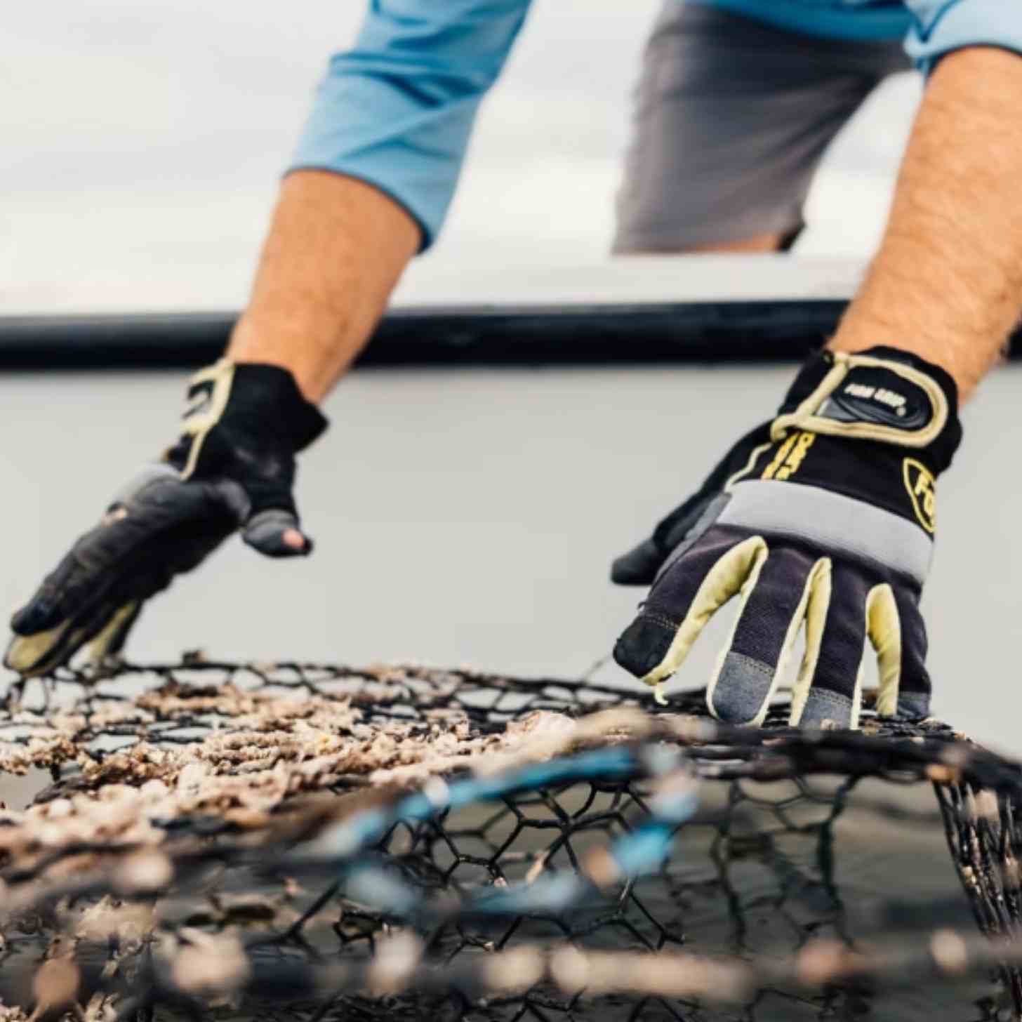 A man reaches down to pick up an abandoned crab cage out of the water