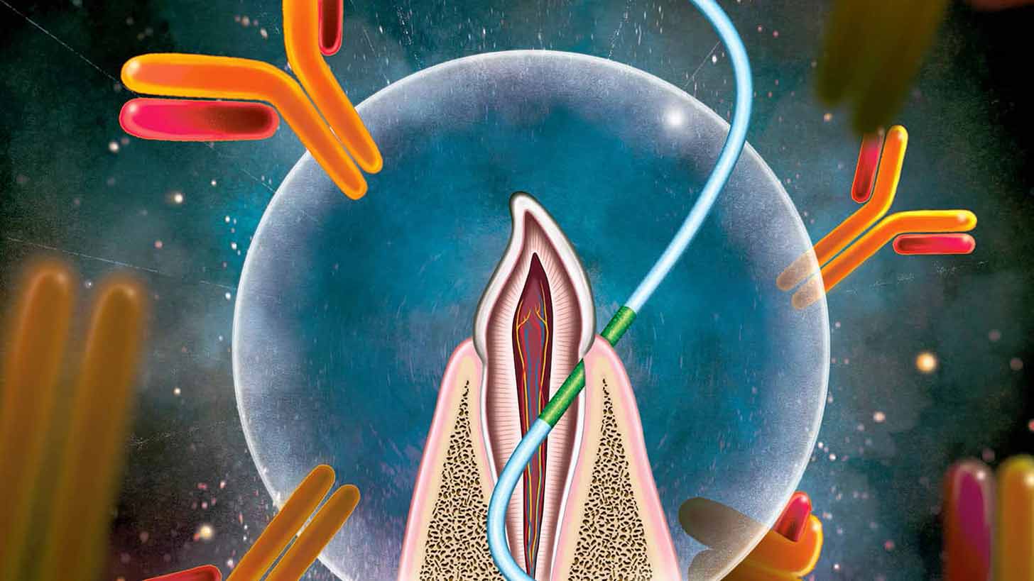 An illustration of a piece of dental floss in between gums and tooth
