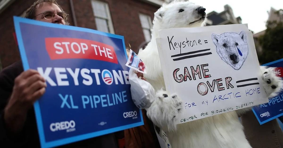 Two activists – one dressed in a polar bear costume – are shown holding up protest signs